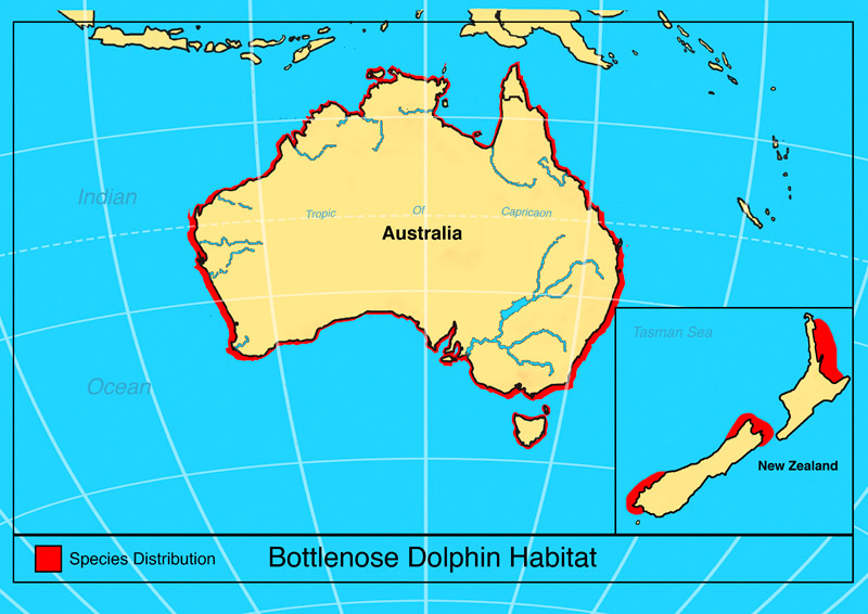 garrettsen-eckerson-dolphin-map