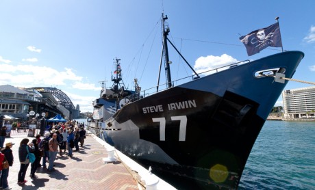 Sea Shepherd Conservation Society Fleet