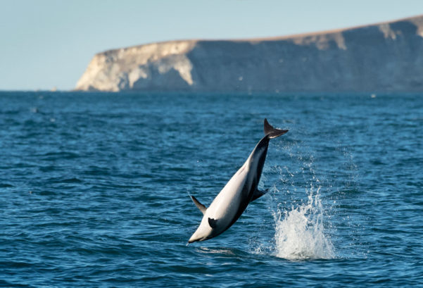 Kaikoura Earthquake - Shaken but not Stirred!